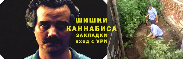 эйфоретик Медвежьегорск