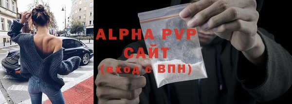 стаф Медногорск