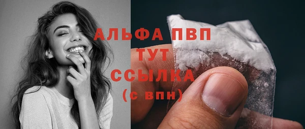 стаф Медногорск