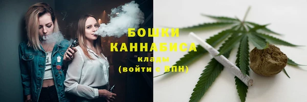 стаф Медногорск