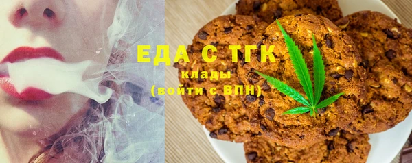 стаф Медногорск