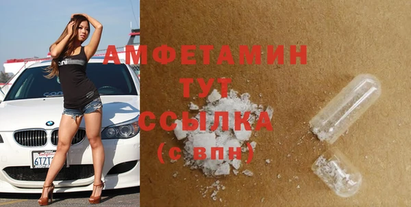стаф Медногорск