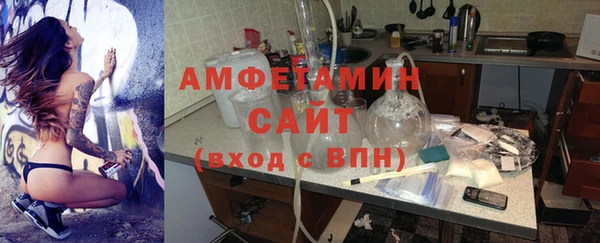 стаф Медногорск