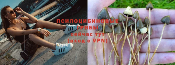 эйфоретик Медвежьегорск