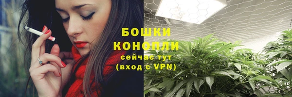 стаф Медногорск
