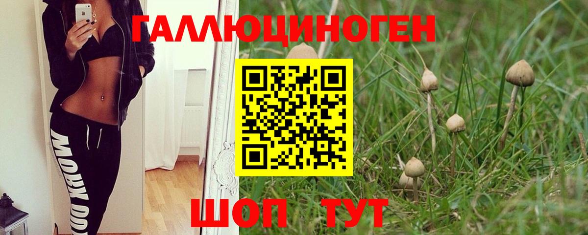 сколько стоит  Галлюциногенные грибы GOLDEN TEACHER  Псилоцибиновые грибы Psilocybine cubensis  Вход с VPN  Мелеуз 